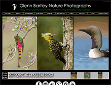 Tablet Screenshot of glennbartley.com